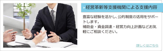 経営革新等支援機関による支援内容